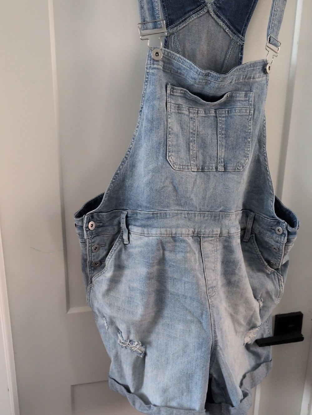 188: Torrid shorts overall